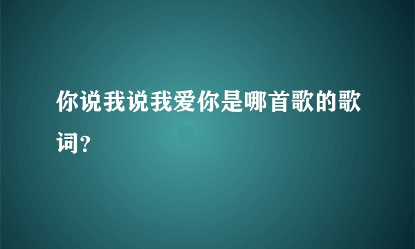 你说我说我爱你是哪首歌的歌词？
