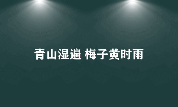 青山湿遍 梅子黄时雨