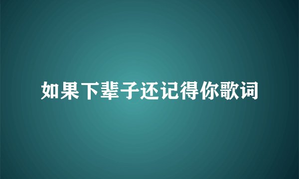 如果下辈子还记得你歌词