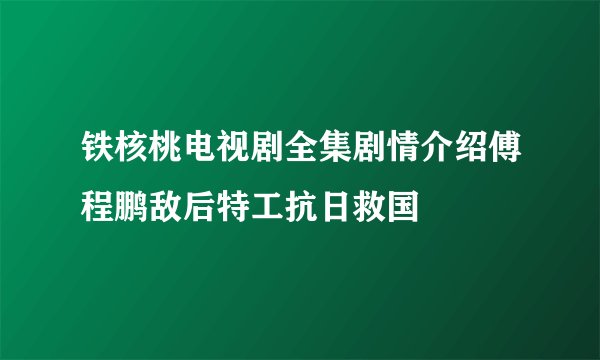 铁核桃电视剧全集剧情介绍傅程鹏敌后特工抗日救国