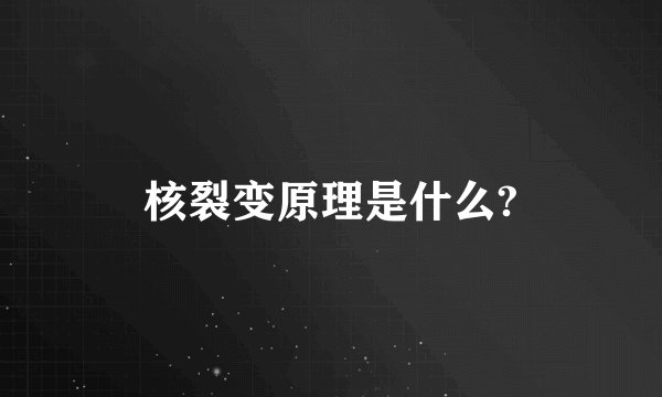 核裂变原理是什么?