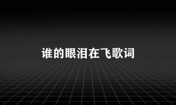 谁的眼泪在飞歌词