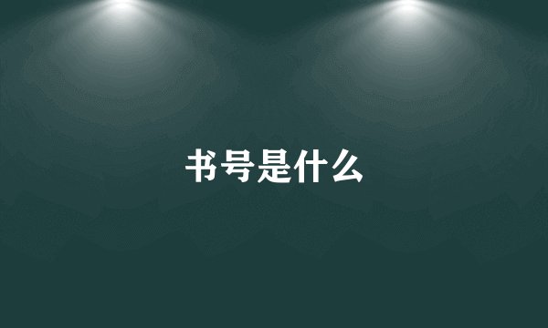 书号是什么