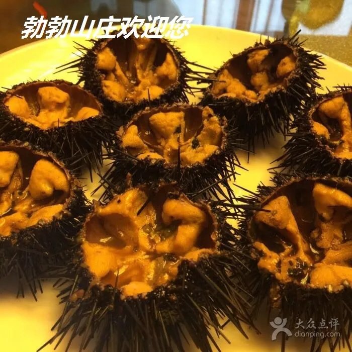 长岛旅游攻略