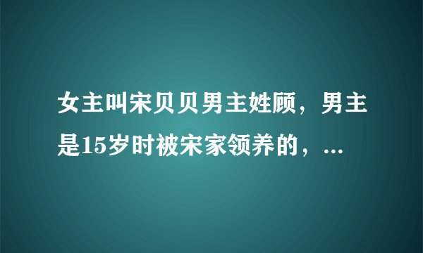 女主叫宋贝贝男主姓顾，男主是15岁时被宋家领养的，女主父母双亡