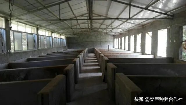 农村养殖有什么好的致富项目?