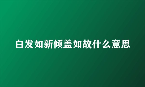 白发如新倾盖如故什么意思