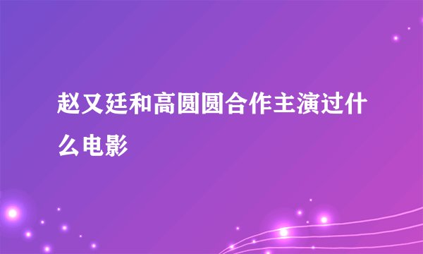 赵又廷和高圆圆合作主演过什么电影