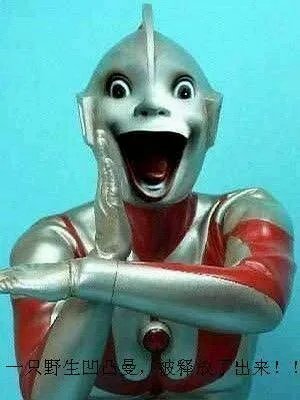 野生奥特曼图片