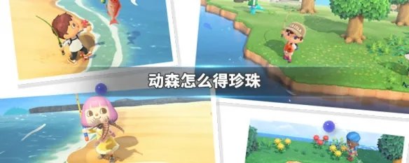 动森怎么得珍珠