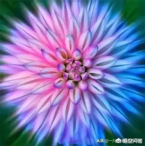 哪些因素会导致一个人的爱情启蒙特别晚？