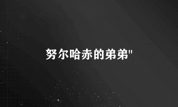 努尔哈赤的弟弟