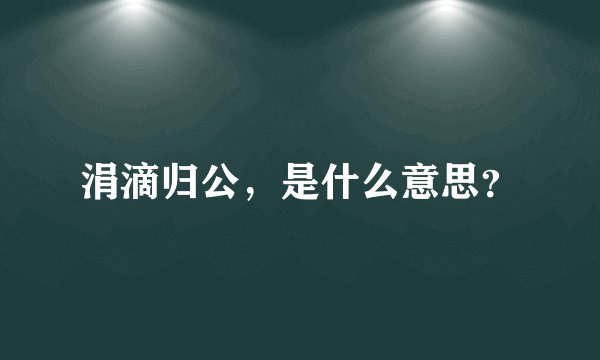 涓滴归公，是什么意思？