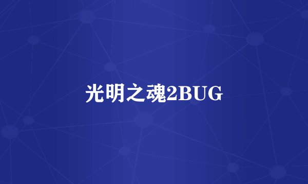 光明之魂2BUG