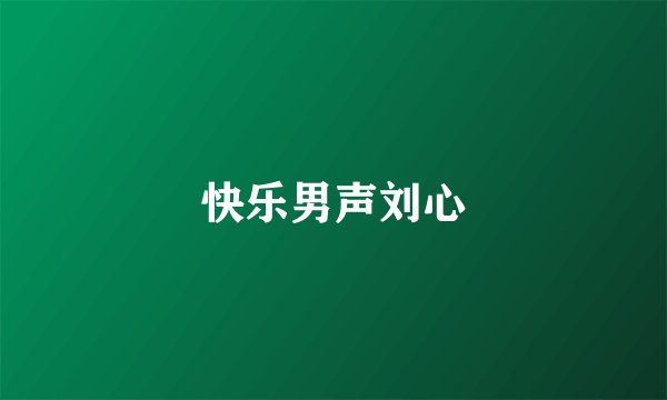 快乐男声刘心