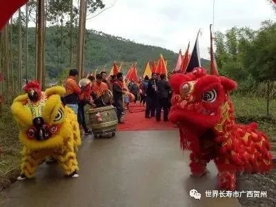贺州最近的“桂台客家宗亲经济文化论坛”是怎么回事？