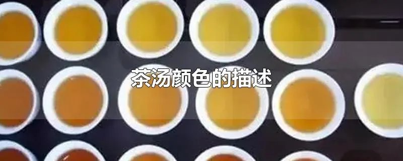 茶汤颜色的描述