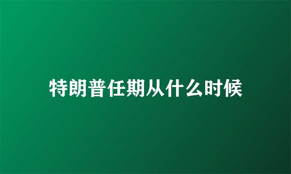 特朗普任期从什么时候