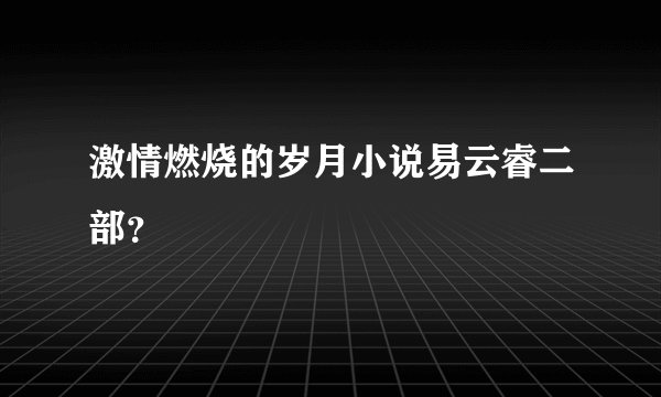 激情燃烧的岁月小说易云睿二部？