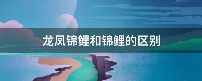 龙凤锦鲤和锦鲤的区别