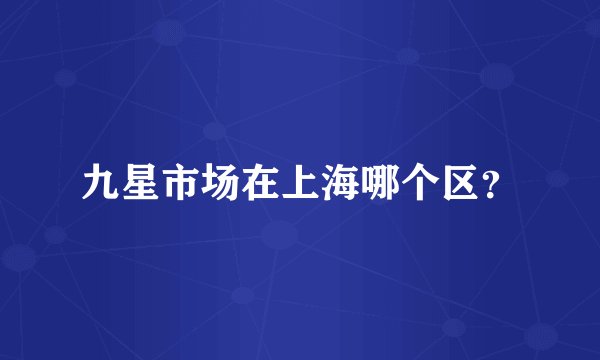 九星市场在上海哪个区？