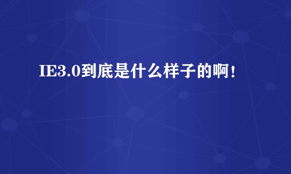 IE3.0到底是什么样子的啊！
