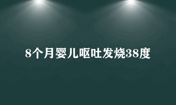 8个月婴儿呕吐发烧38度