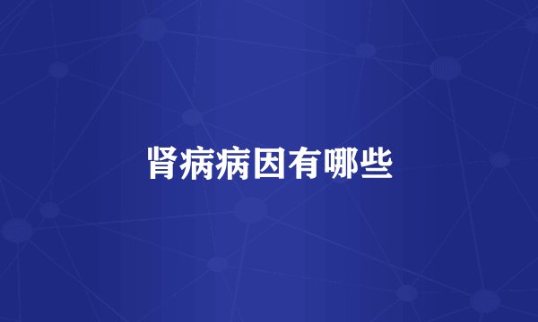 肾病病因有哪些