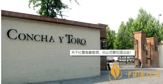 红魔鬼葡萄酒什么档次 为什么喝过就会爱上的红酒