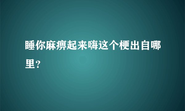 睡你麻痹起来嗨这个梗出自哪里？