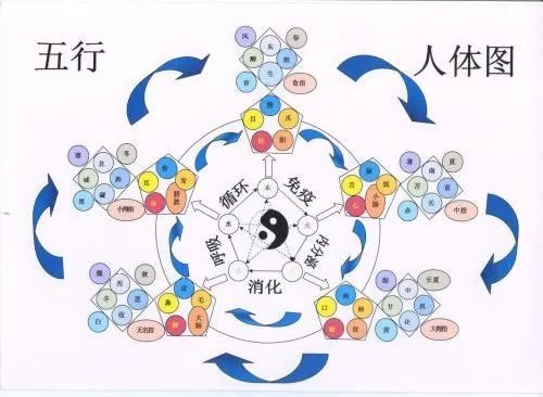 五行与时辰的关系~~？