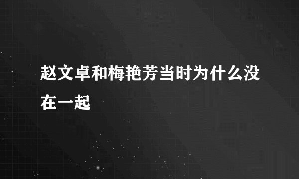 赵文卓和梅艳芳当时为什么没在一起