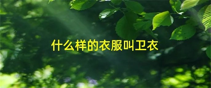 什么样的衣服叫卫衣