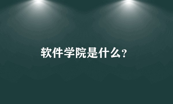 软件学院是什么？
