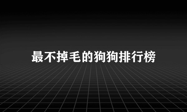最不掉毛的狗狗排行榜