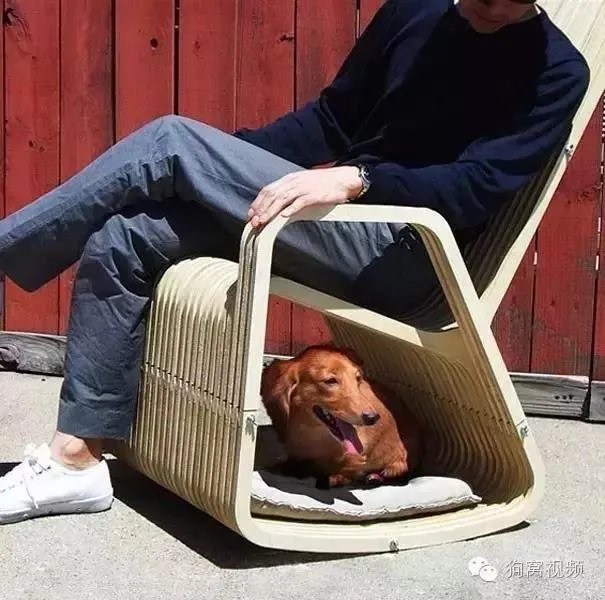 隈研吾、原研哉等设计大师,每人给狗狗做了一个家!
