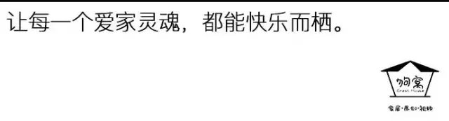 隈研吾、原研哉等设计大师,每人给狗狗做了一个家!