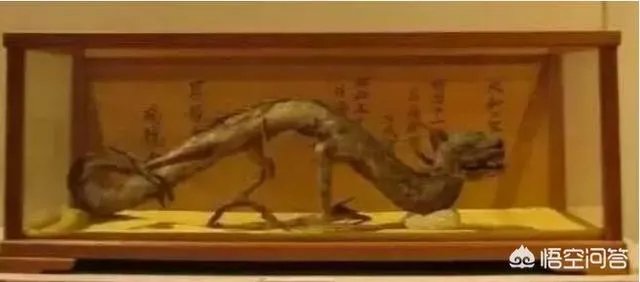 营口坠龙、松花江坠龙,为何历史上有那么多的坠龙事件?