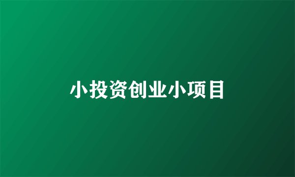 小投资创业小项目