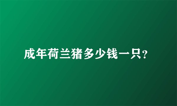成年荷兰猪多少钱一只？