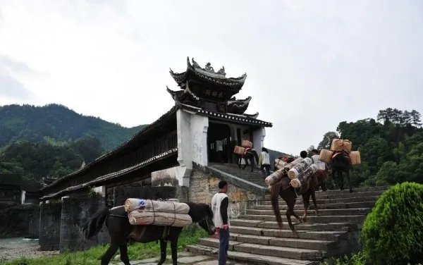 茶马古道是什么由来？