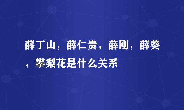 薛丁山，薛仁贵，薛刚，薛葵，攀梨花是什么关系