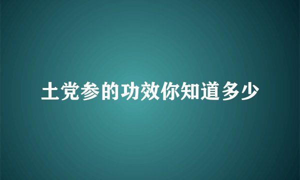 土党参的功效你知道多少