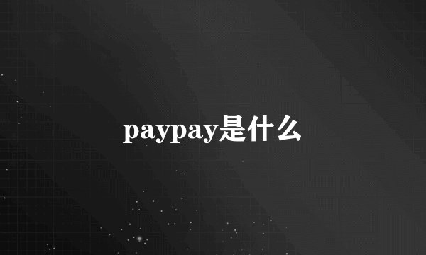 paypay是什么