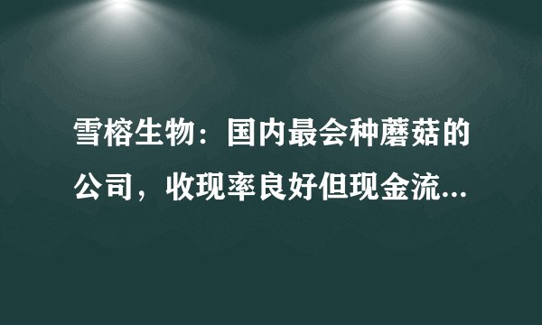 雪榕生物：国内最会种蘑菇的公司，收现率良好但现金流仍不乐观