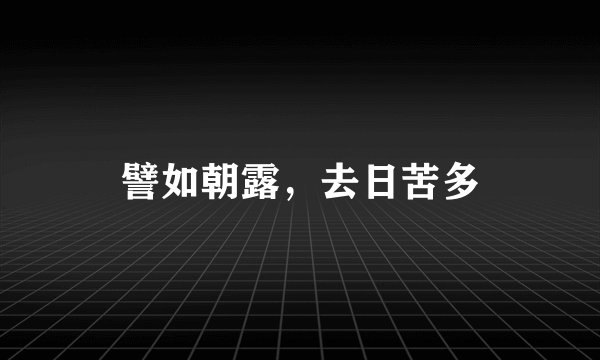 譬如朝露,去日苦多