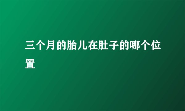 三个月的胎儿在肚子的哪个位置