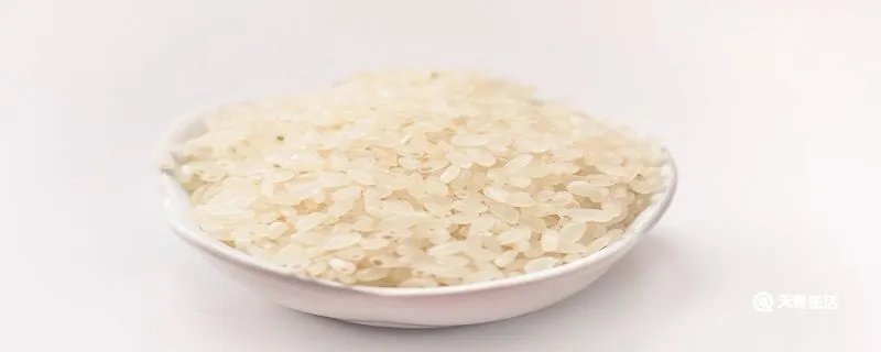 粳米是糯米吗