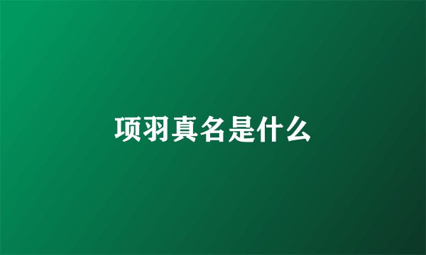 项羽真名是什么