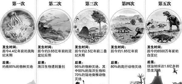 生物界第六次生物大灭绝会在什么时候发生，什么生物会灭绝？